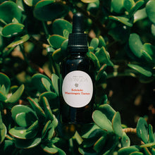 Load image into Gallery viewer, Kohekohe Wharetangata Tincture