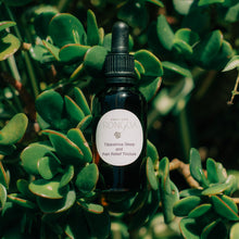 Load image into Gallery viewer, Tātaramoa Sleep and Pain Relief Tincture